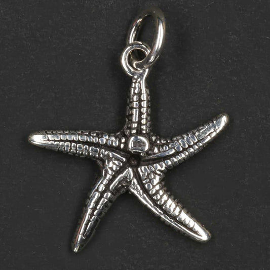 Seestern Silber Schmuck Anhänger Sterlingsilber zarter Kettenanhänger