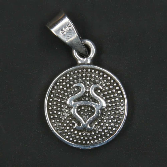 Stier Tierkreiszeichen Symbol Sternzeichen schmuck Anhänger