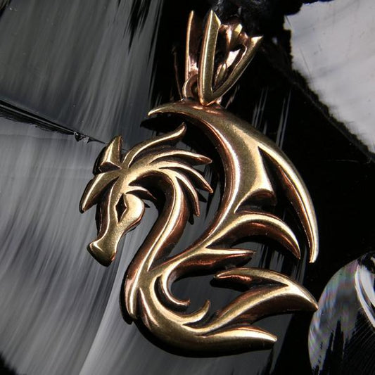Drachen Schmuck Bronze Anhänger
