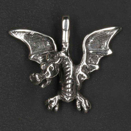 Drache mit Flügel Silber Anhänger edel 925 Stterlingsilber