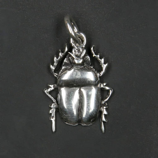 Glückskäfer Schmuck Anhänger 925er Silber